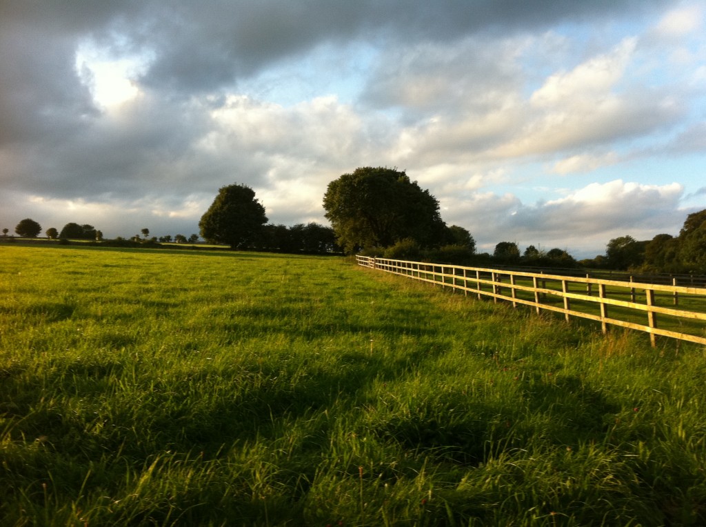 View of the countryside on our walk