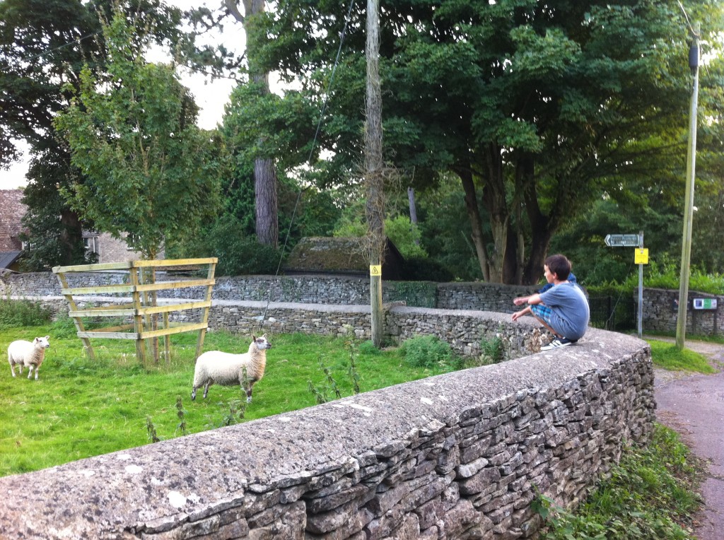 Justin and the sheep having a "conversation"