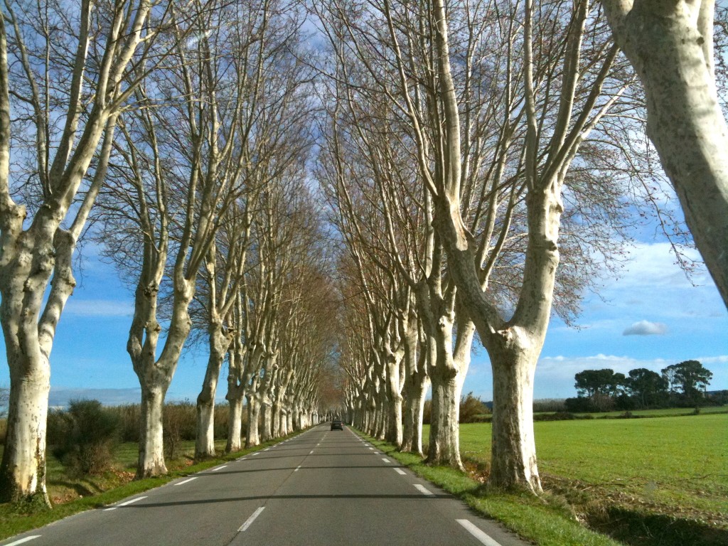 Road out of St. Remy