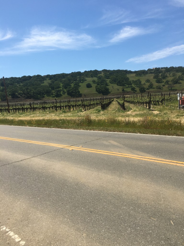 Suisun Valley wine region