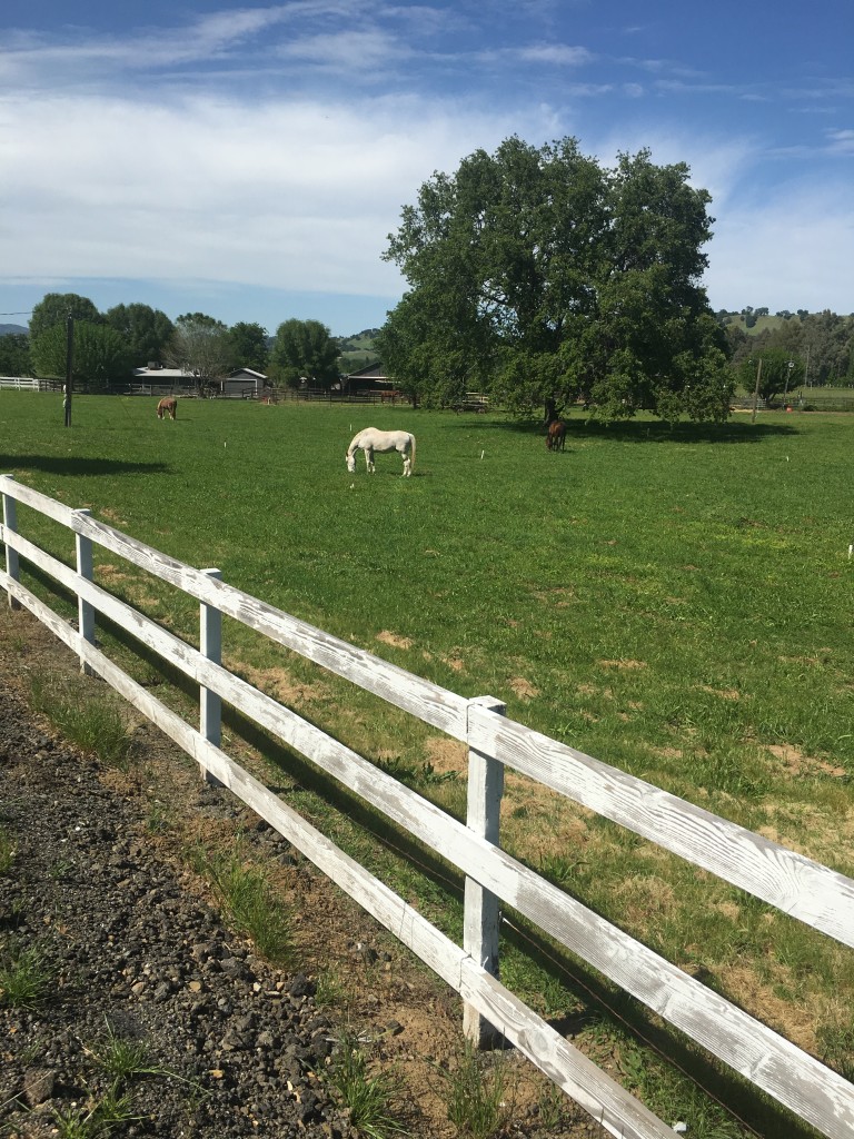 Pleasant Valley road